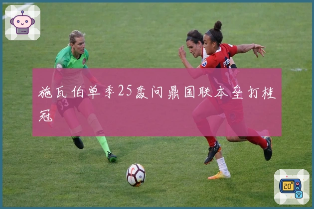 施瓦伯单季25轰问鼎国联本垒打桂冠