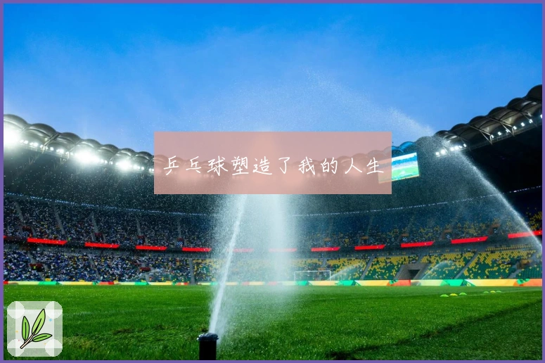 乒乓球塑造了我的人生